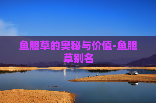 鱼胆草的奥秘与价值-鱼胆草别名