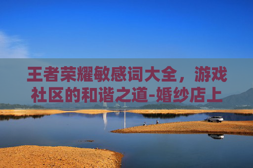 王者荣耀敏感词大全，游戏社区的和谐之道-婚纱店上班要干什么