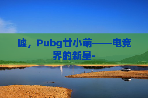 嘘，Pubg廿小萌——电竞界的新星-