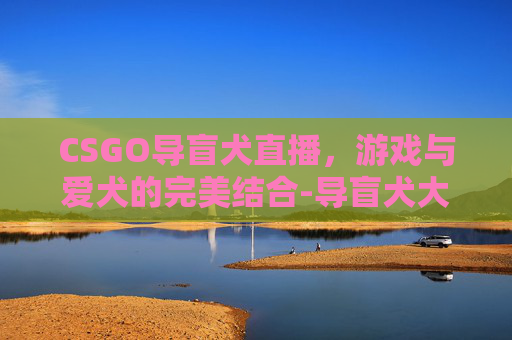 CSGO导盲犬直播，游戏与爱犬的完美结合-导盲犬大全
