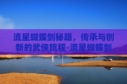 流星蝴蝶剑秘籍，传承与创新的武侠旅程-流星蝴蝶剑秘籍作弊码