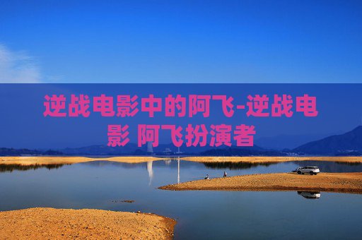 逆战电影中的阿飞-逆战电影 阿飞扮演者
