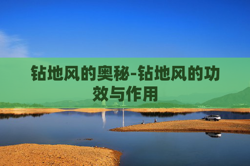 钻地风的奥秘-钻地风的功效与作用