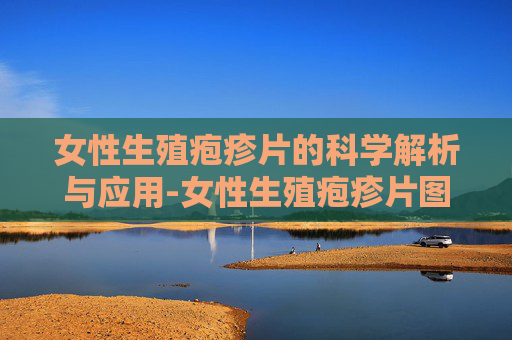 女性生殖疱疹片的科学解析与应用-女性生殖疱疹片图片