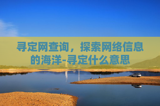 寻定网查询，探索网络信息的海洋-寻定什么意思