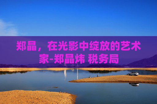 郑晶，在光影中绽放的艺术家-郑晶炜 税务局