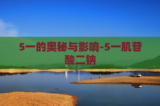 5一的奥秘与影响-5一肌苷酸二钠