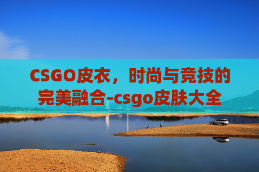 CSGO皮衣，时尚与竞技的完美融合-csgo皮肤大全