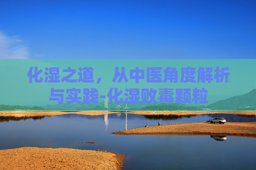 化湿之道，从中医角度解析与实践-化湿败毒颗粒