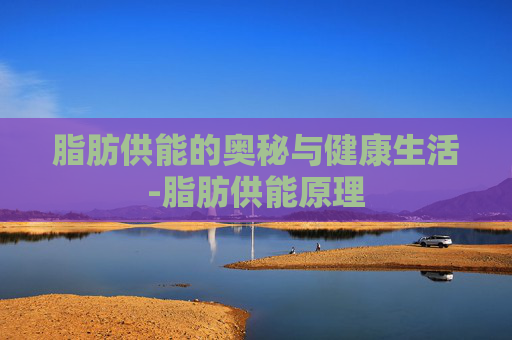脂肪供能的奥秘与健康生活-脂肪供能原理