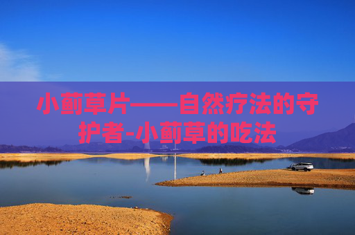小蓟草片——自然疗法的守护者-小蓟草的吃法