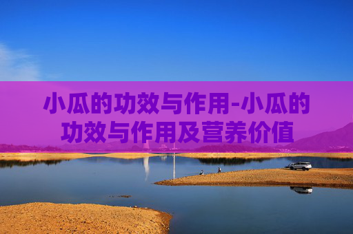 小瓜的功效与作用-小瓜的功效与作用及营养价值