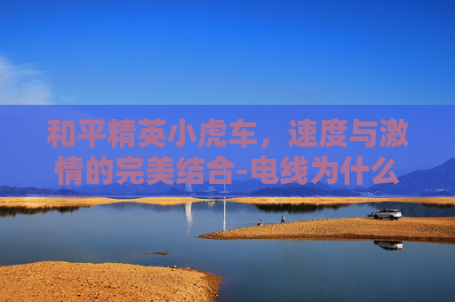 和平精英小虎车，速度与激情的完美结合-电线为什么是两根