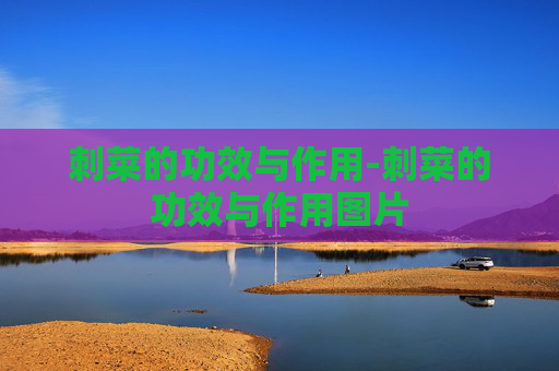 刺菜的功效与作用-刺菜的功效与作用图片
