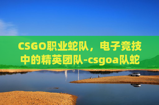 CSGO职业蛇队,电子竞技中的精英团队-csgoa队蛇鼠 CSGO职业蛇队,电子竞技中的精英团队-csgoa队蛇鼠