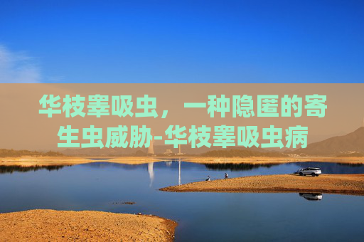 华枝睾吸虫,一种隐匿的寄生虫威胁-华枝睾吸虫病 华枝睾吸虫,一种隐匿的寄生虫威胁-华枝睾吸虫病