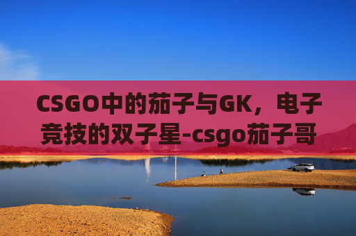 CSGO中的茄子与GK,电子竞技的双子星-csgo茄子哥 CSGO中的茄子与GK,电子竞技的双子星-csgo茄子哥