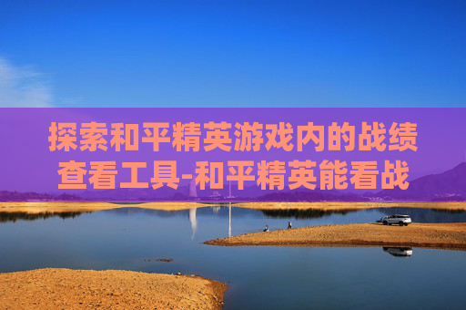 探索和平精英游戏内的战绩查看工具-和平精英能看战绩的软件下载 探索和平精英游戏内的战绩查看工具-和平精英能看战绩的软件下载