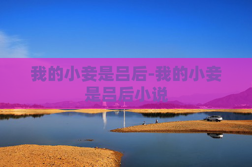 我的小妾是吕后-我的小妾是吕后小说