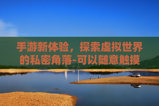 手游新体验，探索虚拟世界的私密角落-可以随意触摸内部位的小游戏软件