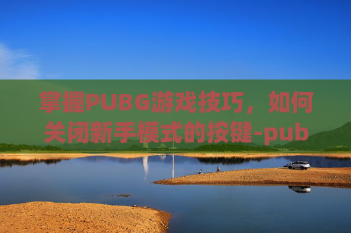 掌握PUBG游戏技巧，如何关闭新手模式的按键-pubg如何关闭按键指南