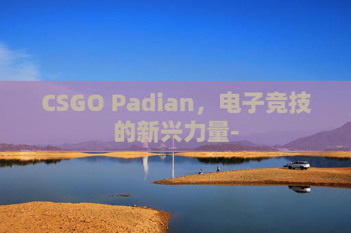 CSGO Padian，电子竞技的新兴力量-