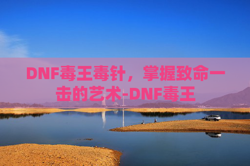 DNF毒王毒针，掌握致命一击的艺术-DNF毒王