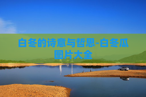 白冬的诗意与哲思-白冬瓜图片大全