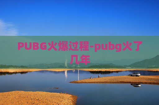 PUBG火爆过程-pubg火了几年