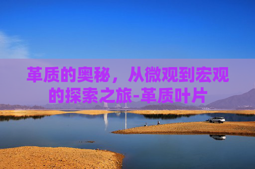 革质的奥秘，从微观到宏观的探索之旅-革质叶片