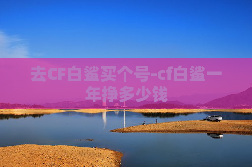 去CF白鲨买个号-cf白鲨一年挣多少钱