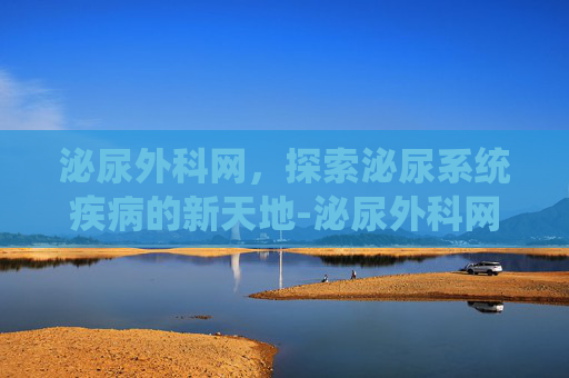 泌尿外科网，探索泌尿系统疾病的新天地-泌尿外科网站
