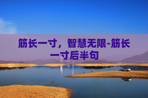 筋长一寸，智慧无限-筋长一寸后半句