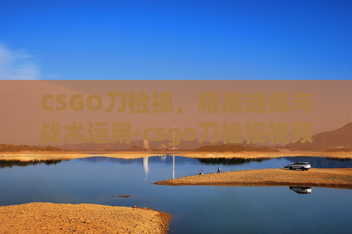 CSGO刀检视，精准选择与战术运用-csgo刀检视视频