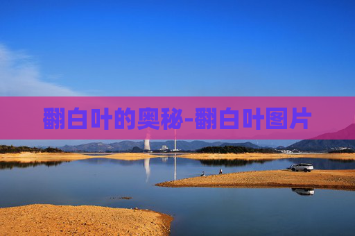 翻白叶的奥秘-翻白叶图片