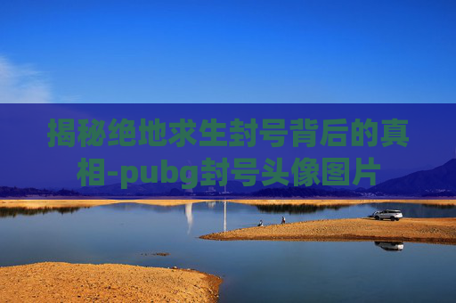 揭秘绝地求生封号背后的真相-pubg封号头像图片
