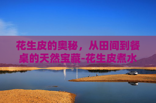 花生皮的奥秘，从田间到餐桌的天然宝藏-花生皮煮水的功效