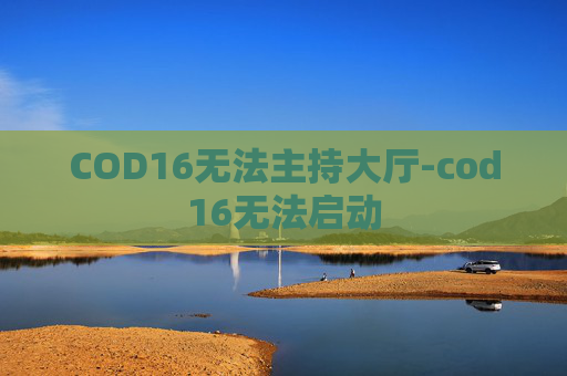 COD16无法主持大厅-cod16无法启动
