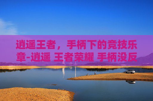 逍遥王者，手柄下的竞技乐章-逍遥 王者荣耀 手柄没反应