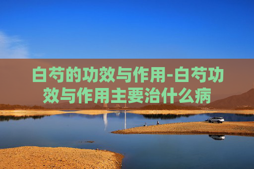 白芍的功效与作用-白芍功效与作用主要治什么病