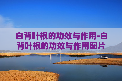 白背叶根的功效与作用-白背叶根的功效与作用图片