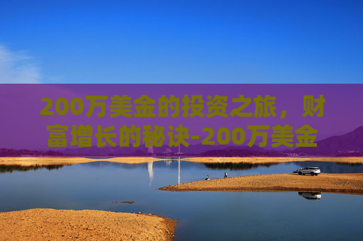 200万美金的投资之旅，财富增长的秘诀-200万美金是多少韩元