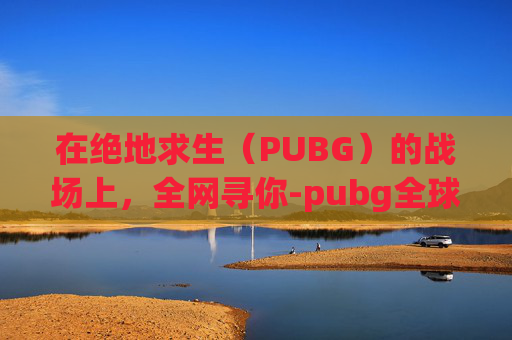 在绝地求生（PUBG）的战场上，全网寻你-pubg全球网