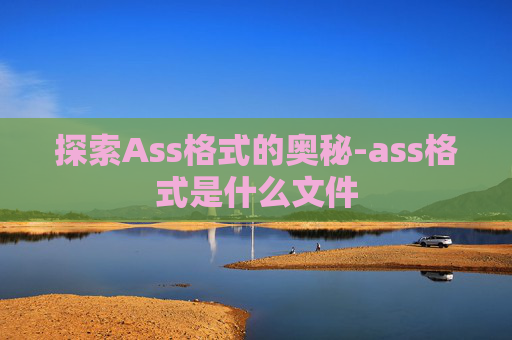 探索Ass格式的奥秘-ass格式是什么文件