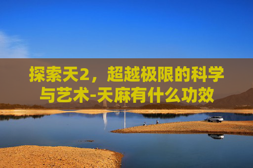 探索天2，超越极限的科学与艺术-天麻有什么功效
