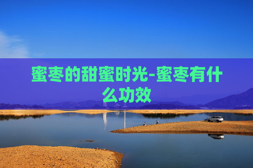 蜜枣的甜蜜时光-蜜枣有什么功效