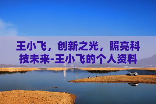 王小飞，创新之光，照亮科技未来-王小飞的个人资料