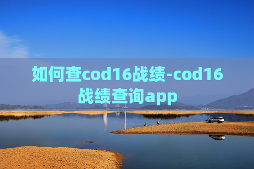 如何查cod16战绩-cod16战绩查询app