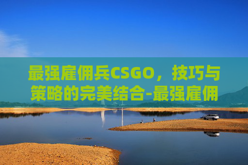 最强雇佣兵CSGO，技巧与策略的完美结合-最强雇佣兵之王