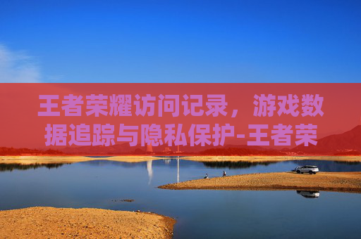 王者荣耀访问记录，游戏数据追踪与隐私保护-王者荣耀访问记录怎么隐藏